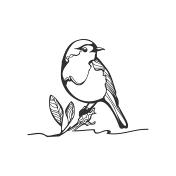 Robinskizze Schwarzweiillustration Stock Vektor Art und mehr Bilder von  Vogel - Vogel, Lineart, Rotkehlchen - iStock